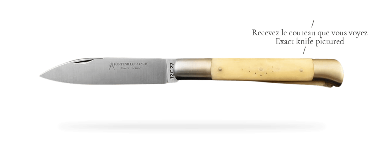 Issoire shepherd's knife & awl Real bone