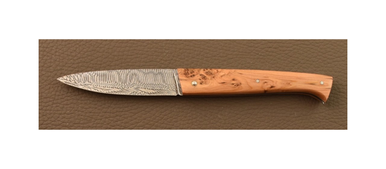 Lombard Damascus Juniper burl knife