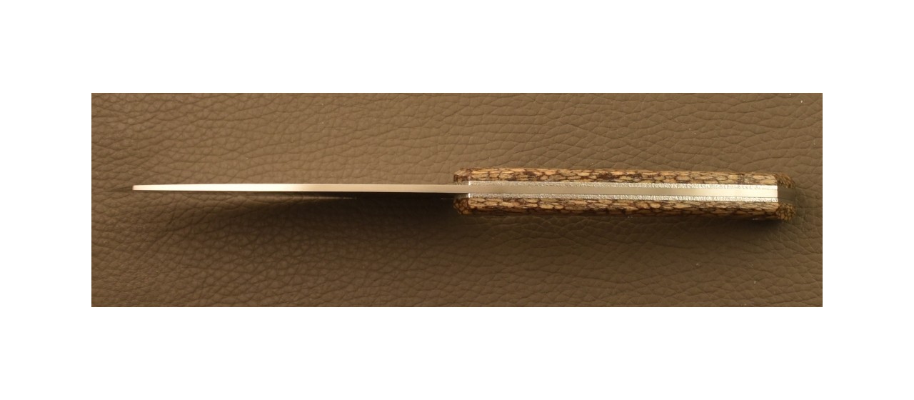 Chef's Knife Signature 1929 Guava tree