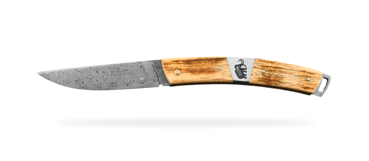 Le Thiers® Nature Damascus Fossilized Mammoth Ivory & engraving