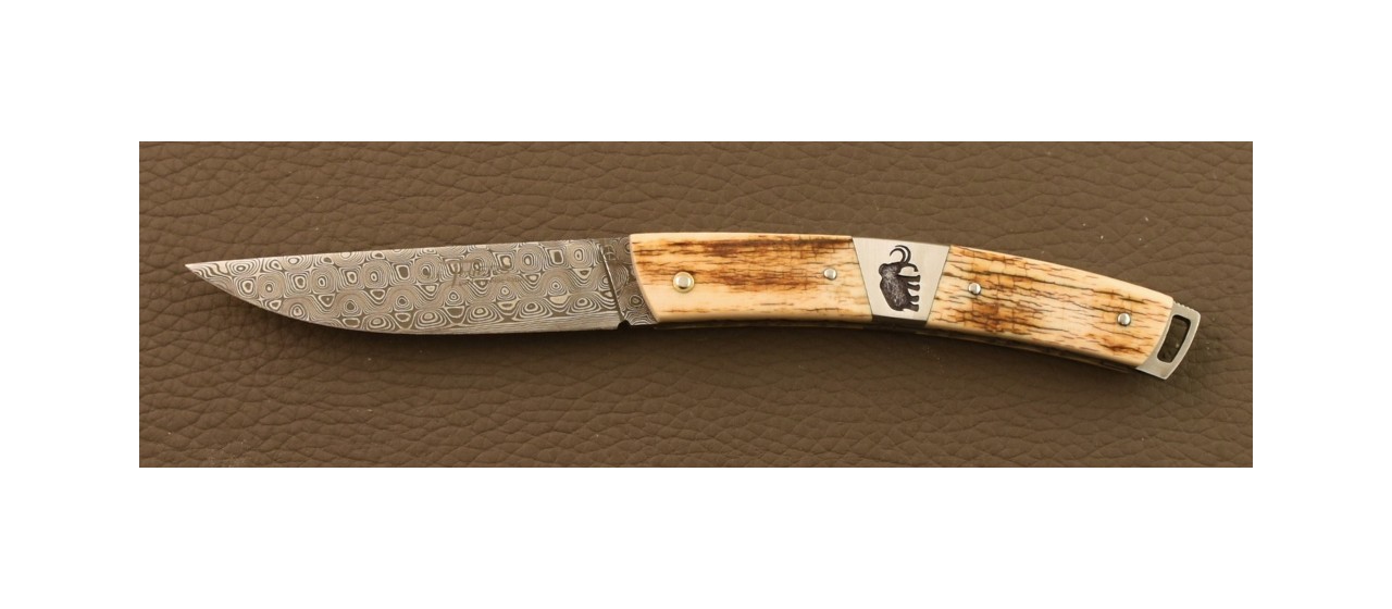 Le Thiers® Nature Knife Damascus Fossilized Mammoth Ivory & engraving