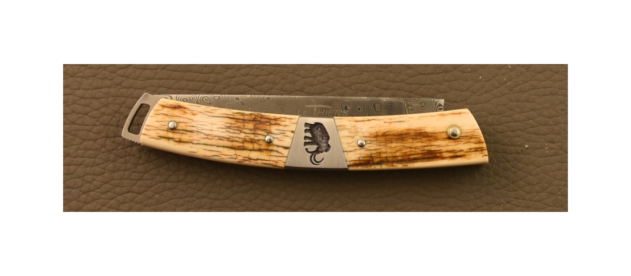 Couteau Le Thiers® Nature Damas Ivoire de Mammouth & gravure