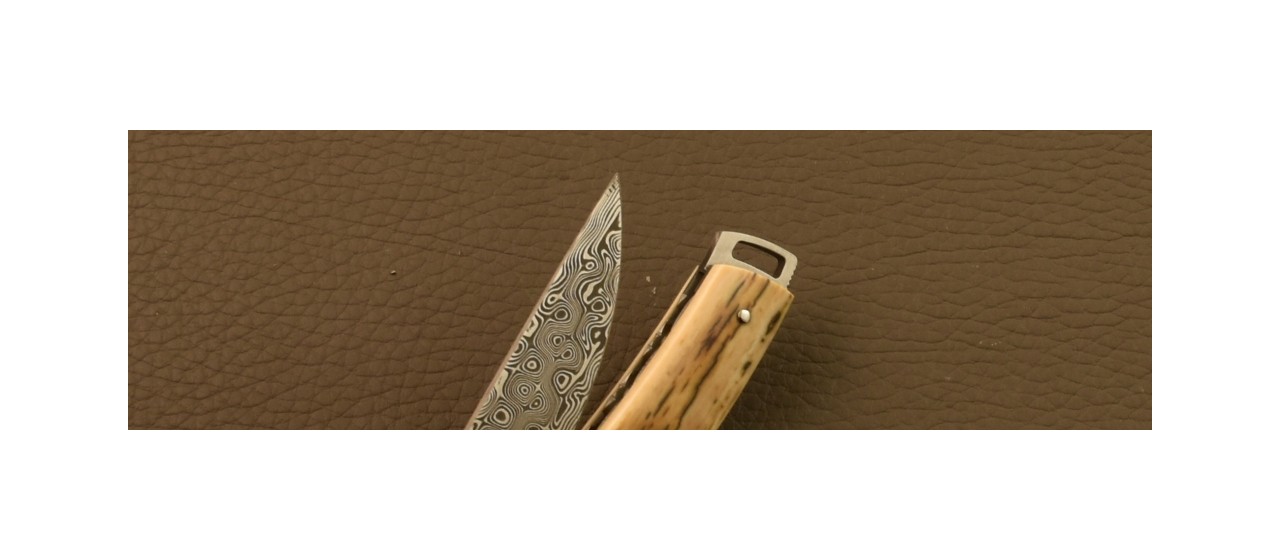 Le Thiers® Nature Knife Damascus Fossilized Mammoth Ivory & engraving