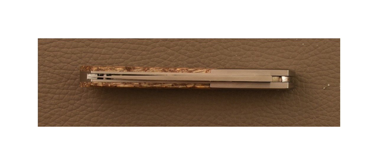 Le Thiers® Advance RWL34 Goyavier