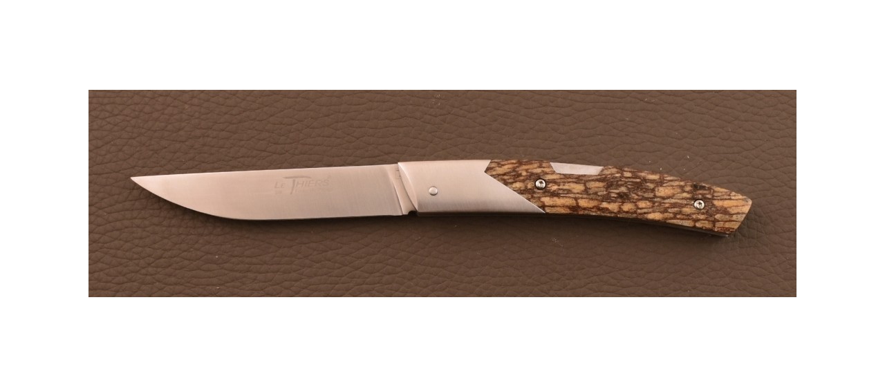 Le Thiers® Advance RWL34 Goyavier