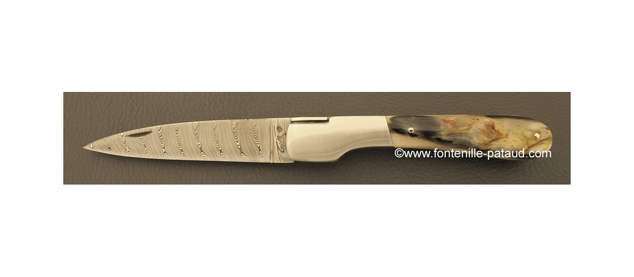 Corsican Vendetta knife Damascus Range Dark ram horn