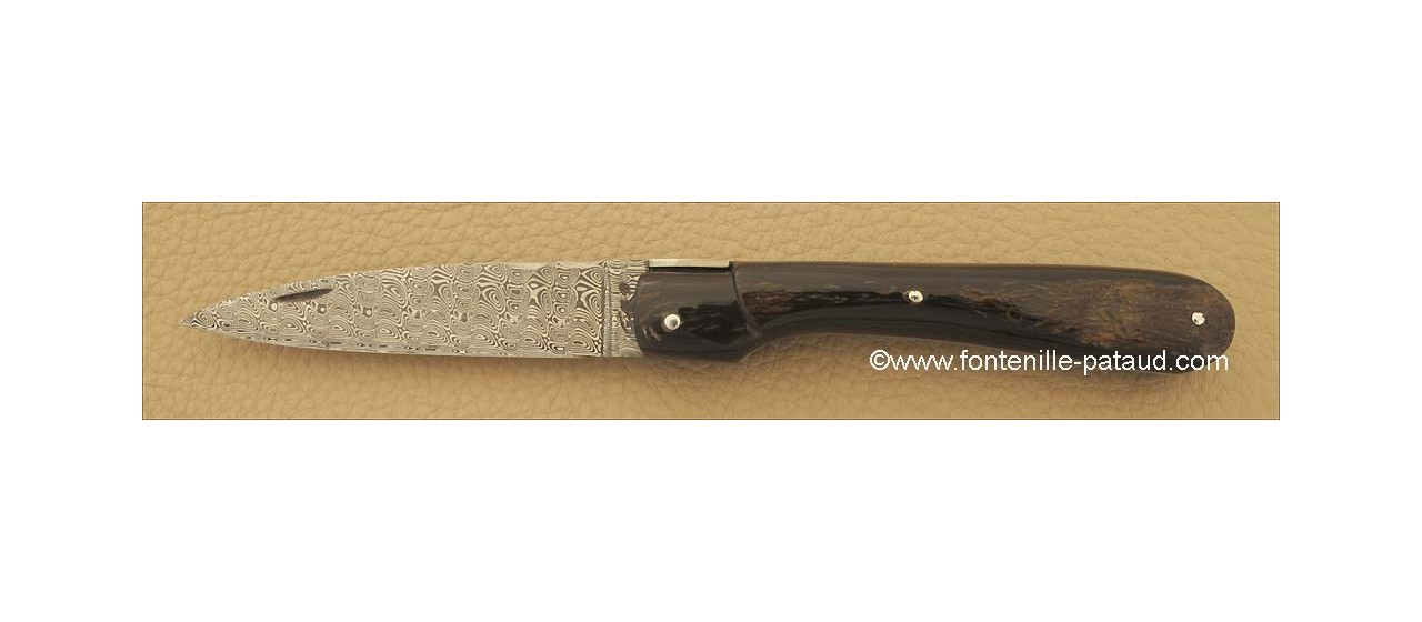 Corsican Vendetta knife Damascus Range Buffalo bark