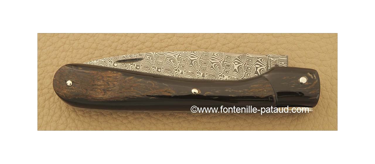 Corsican Vendetta knife Damascus Range Buffalo bark