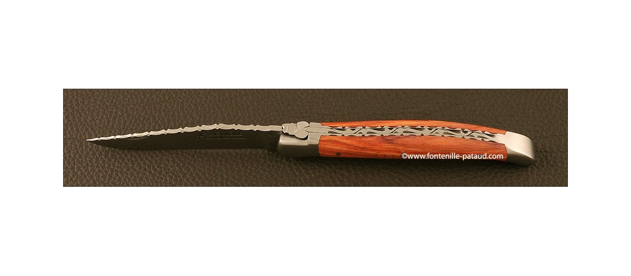 Extraordinary laguiole knife
