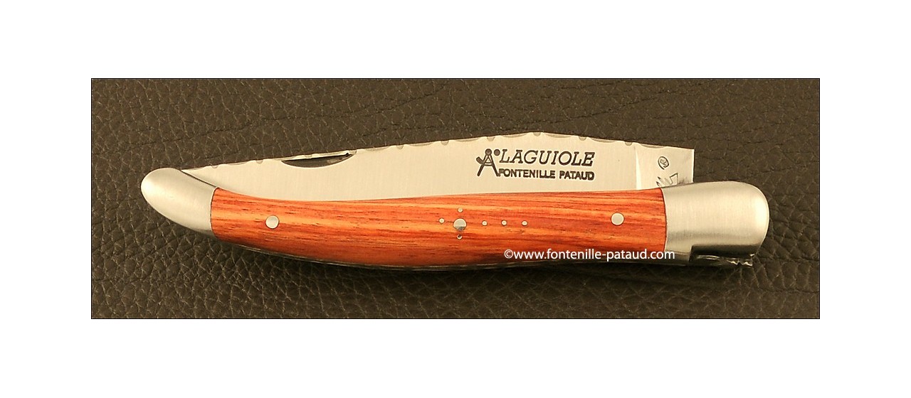 Extraordinary laguiole knife