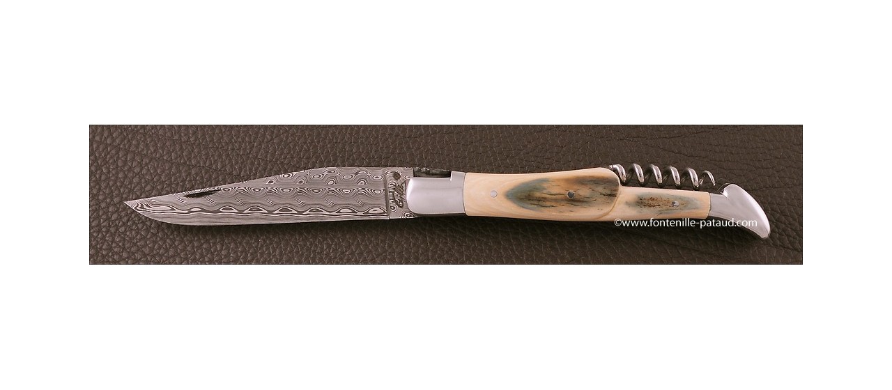 Laguiole Knife Traditional 12 cm Collection Blue fossilized mammoth ivory Delicate file work