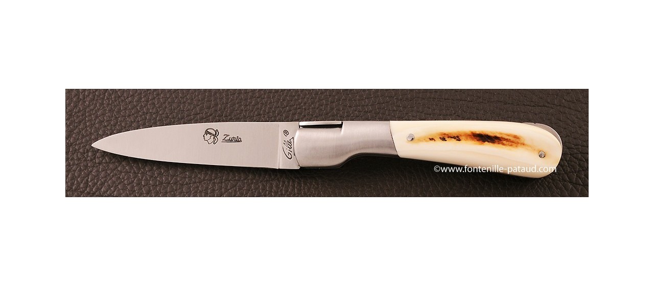 Couteau Pialincu Corse Classique Phacochère