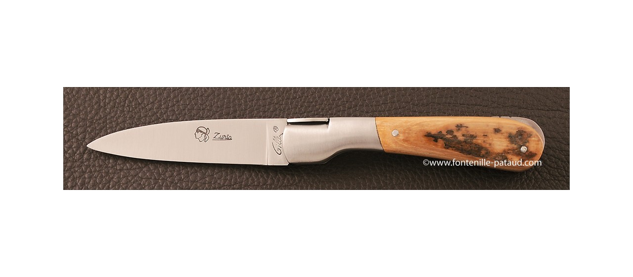 Couteau Pialincu Corse Classique Ivoire de Mammouth