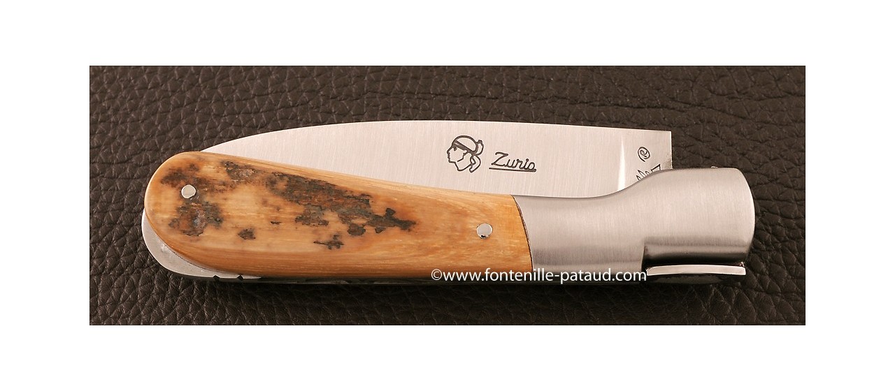 Corsican Pialincu knife Classic Range Mammoth Ivory