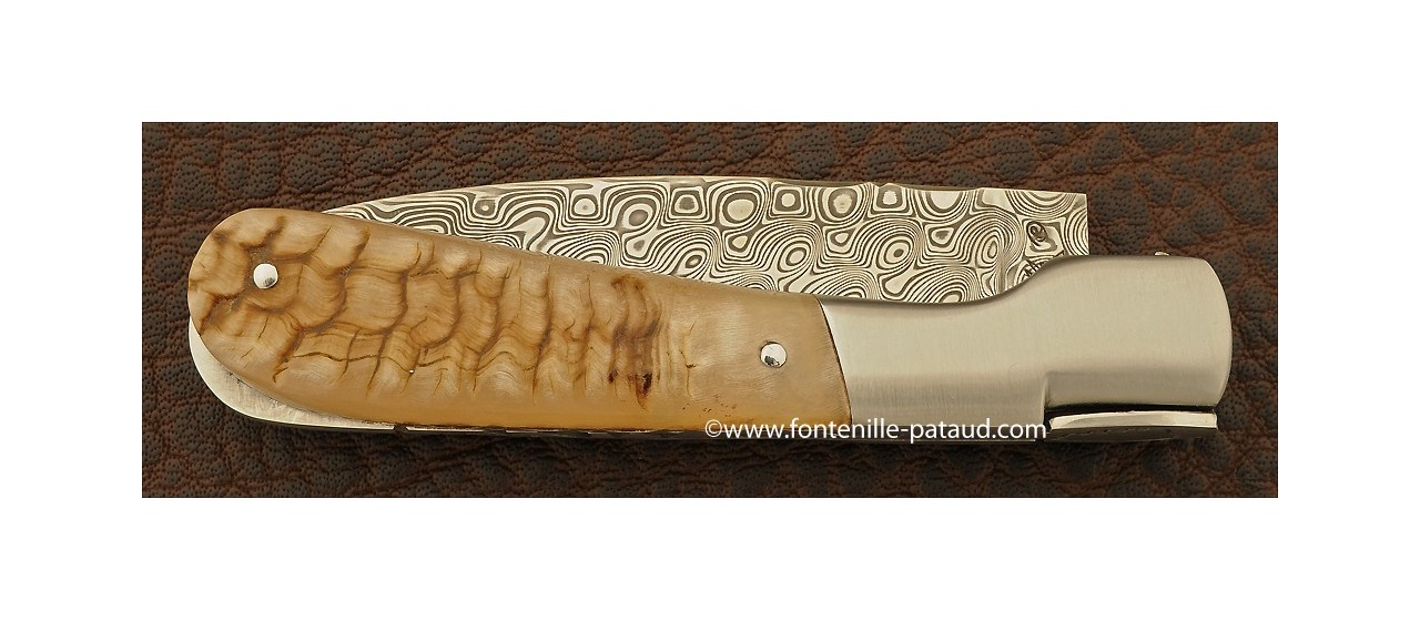 Corsican Pialincu knife Damascus range Ram horn