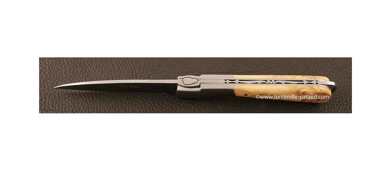 Corsican Sperone knife Classic Range Boxwood Burl