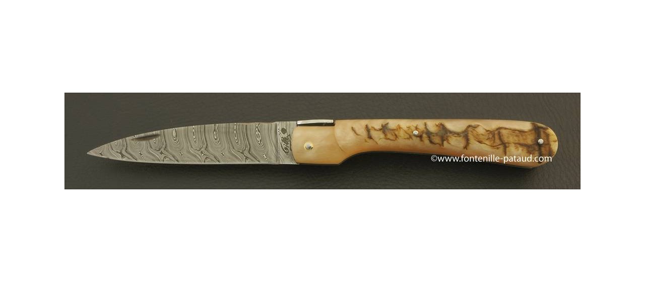 Corsican Vendetta knife Damascus Range Ram horn