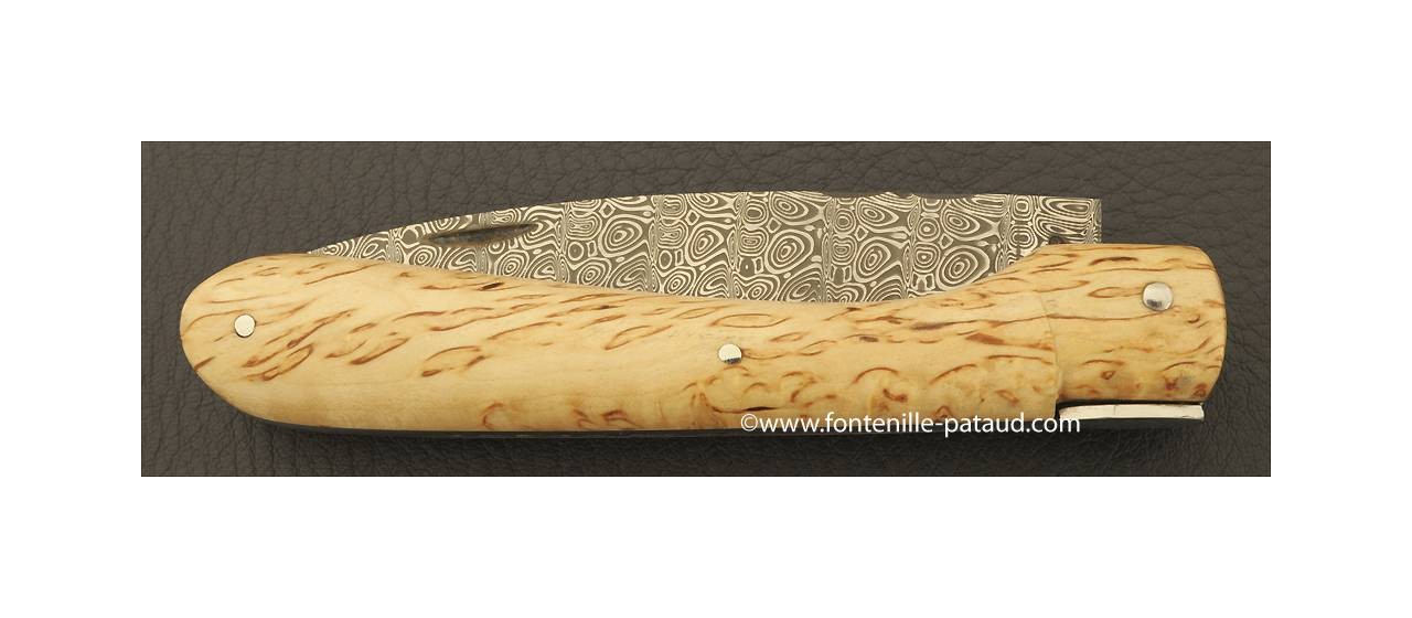 Corsican Vendetta knife Damascus Range Curly birch