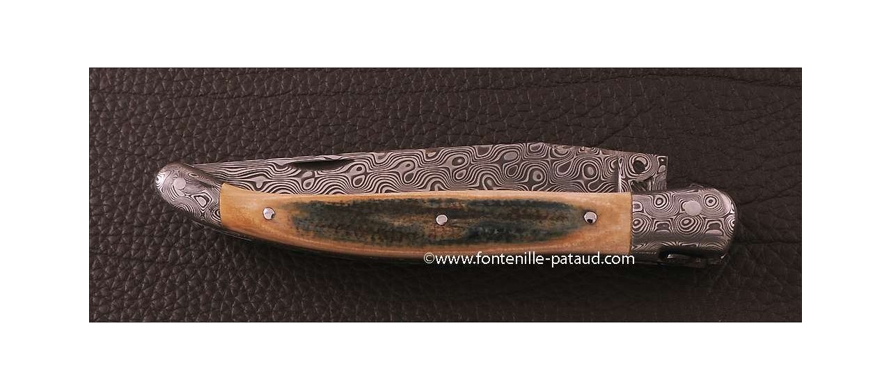 Luxury laguiole knife with blue fossilized mammoth and damascus