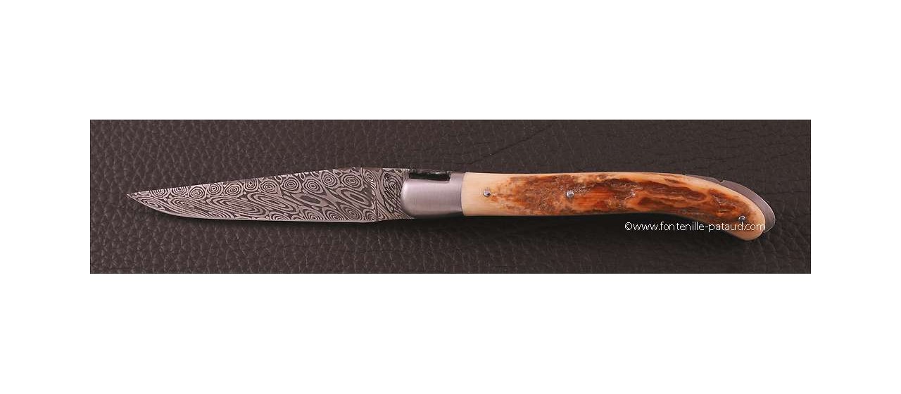 Laguiole Knife XS Damascus Range Fossilized mammoth