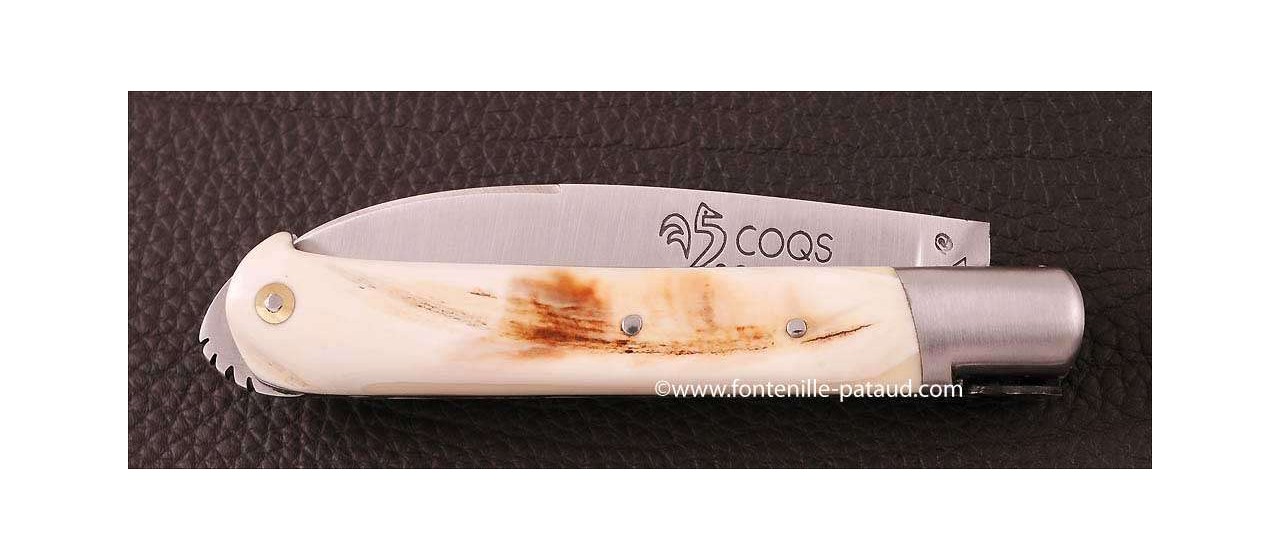 Couteau le 5 Coqs phacochère fabriqué en France