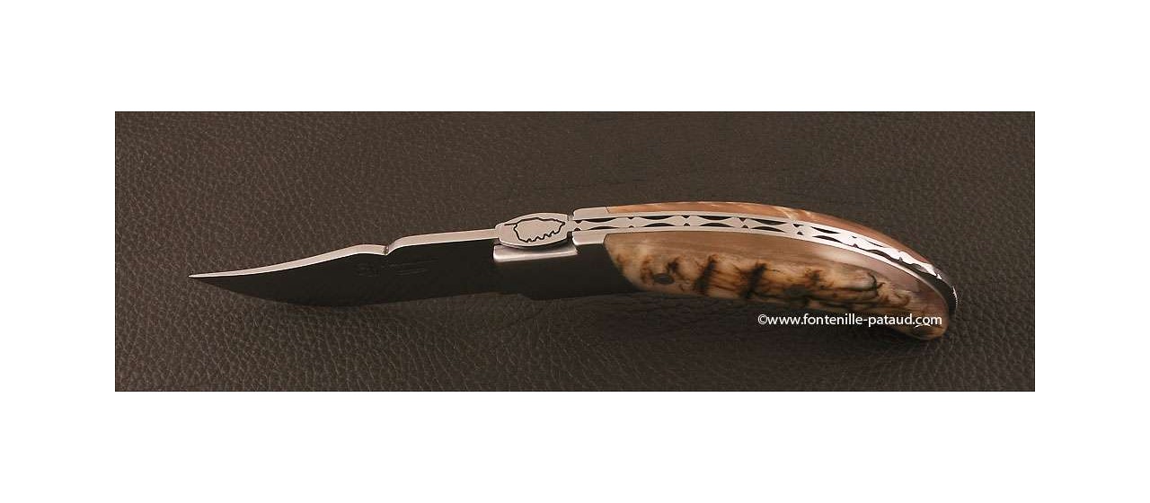 Corsican Rondinara knife classic range ram horn