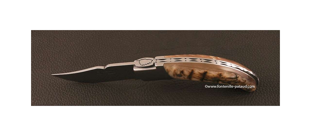 Corsican Rondinara knife classic range ram horn