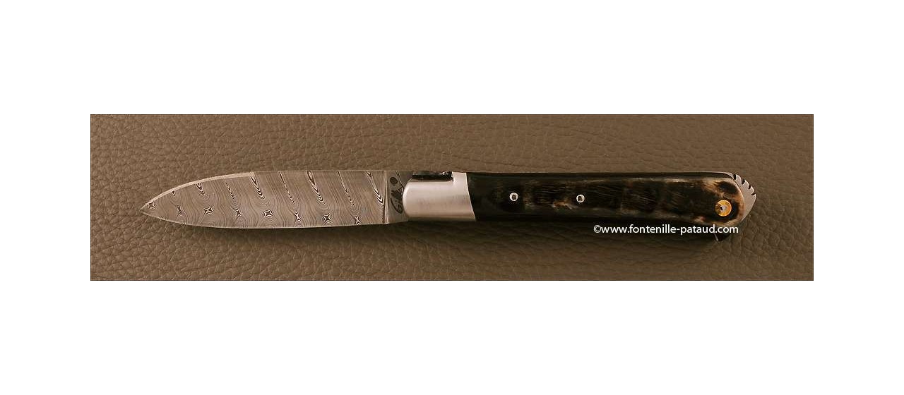 Le 5 Coqs knife Damascus ram horn hand made in France