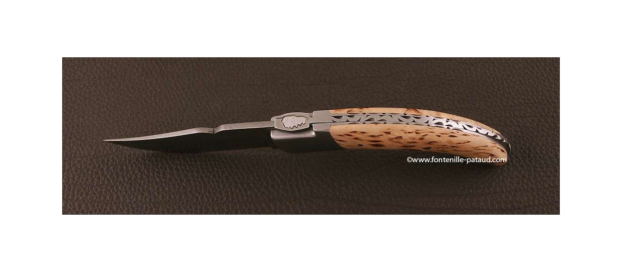 Corsican Rondinara knife Guilloché damascus range curly birch
