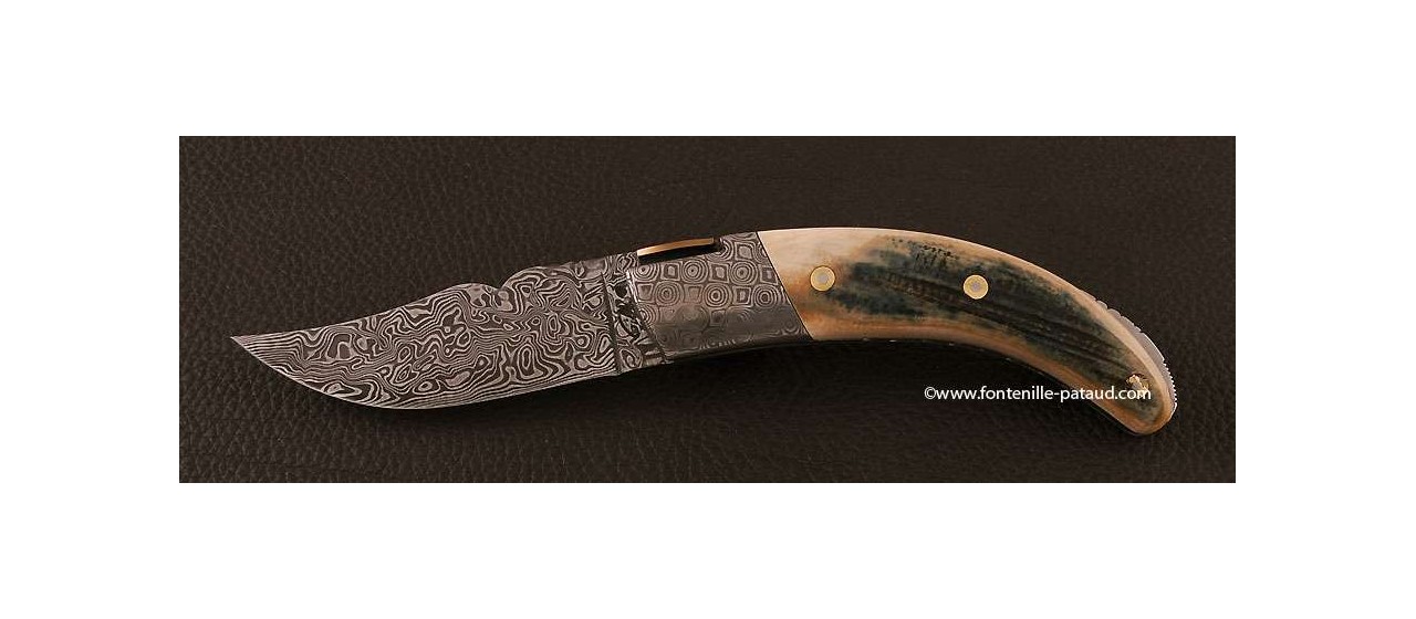 Corsican Rondinara knife damascus blade and bolsters blue mammoth