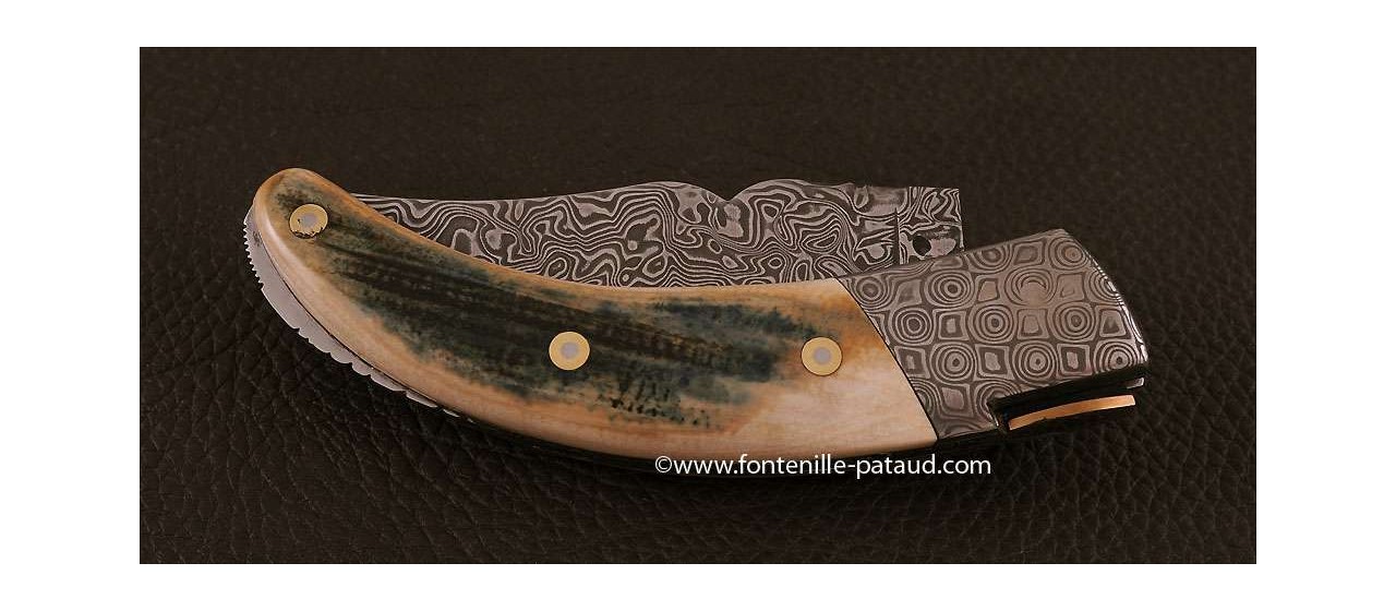 Corsican Rondinara knife damascus blade and bolsters blue mammoth