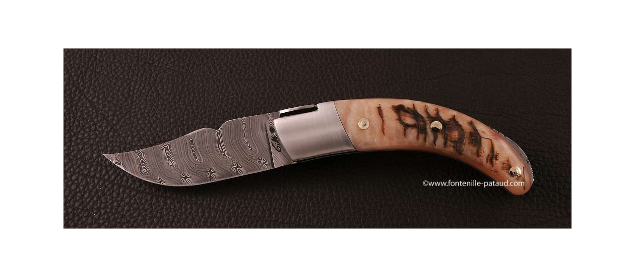Corsican Rondinara knife damascus range ram horn