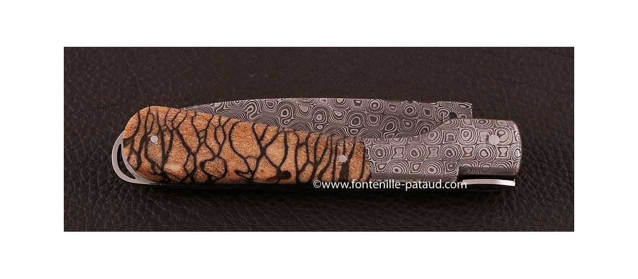 Corsican Sperone knife Collection Range Tiger Coral fossilized Delicate file work