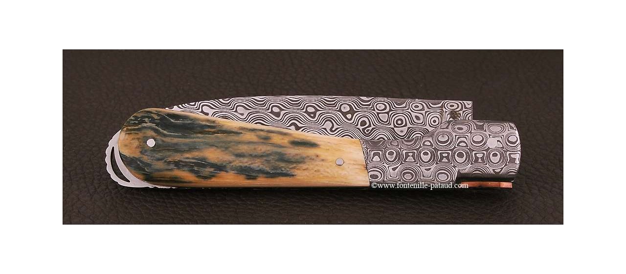 Corsican Sperone knife Collection Range Blue Mammoth fossilized Delicate file work
