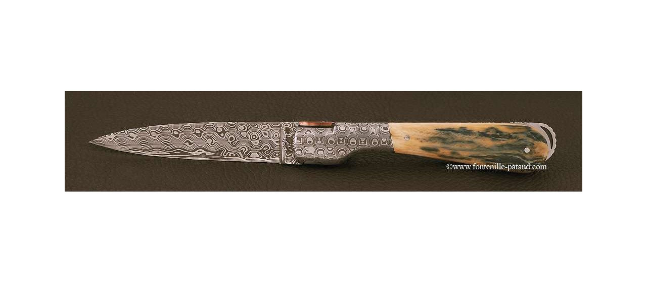 Corsican Sperone knife Collection Range Blue Mammoth fossilized Delicate file work