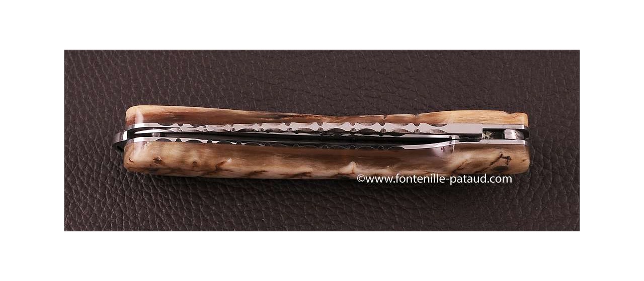 Corsican Sperone knife Guilloche Range Ram horn