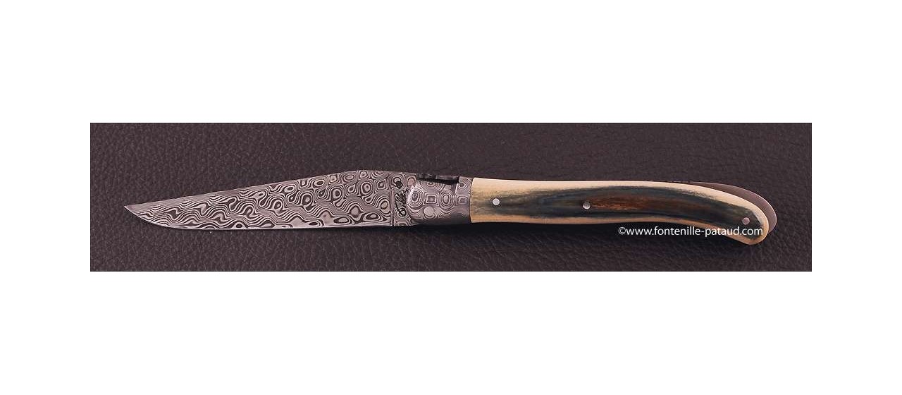 Best french laguiole knife