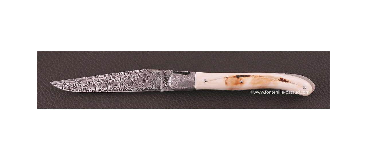 handmade in France laguiole knife with lock back system