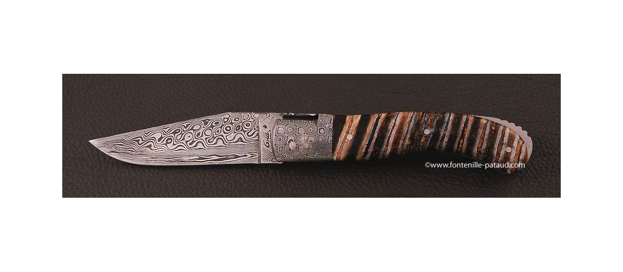 Laguiole Knife Sport Damascus Range Molar Tooth of Mammoth Delicate file work 