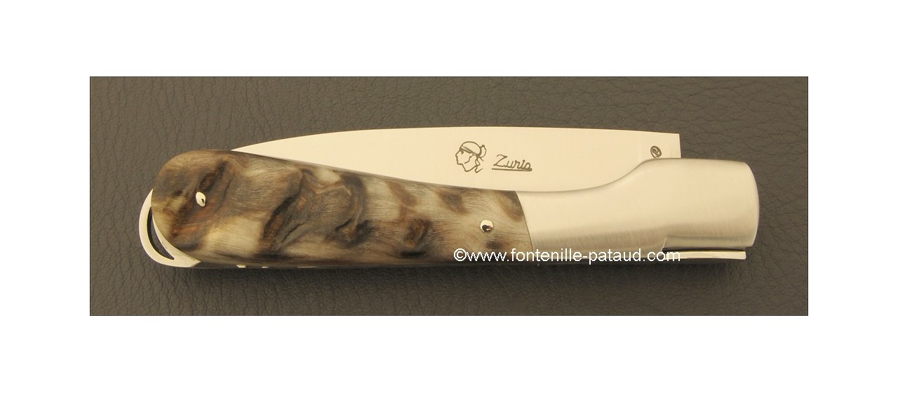 Corsican Sperone knife Classic Range Dark Ram Horn