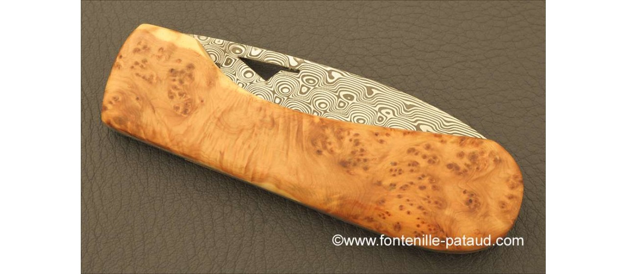 Corsican U Cumpa knife Damascus Range Juniper