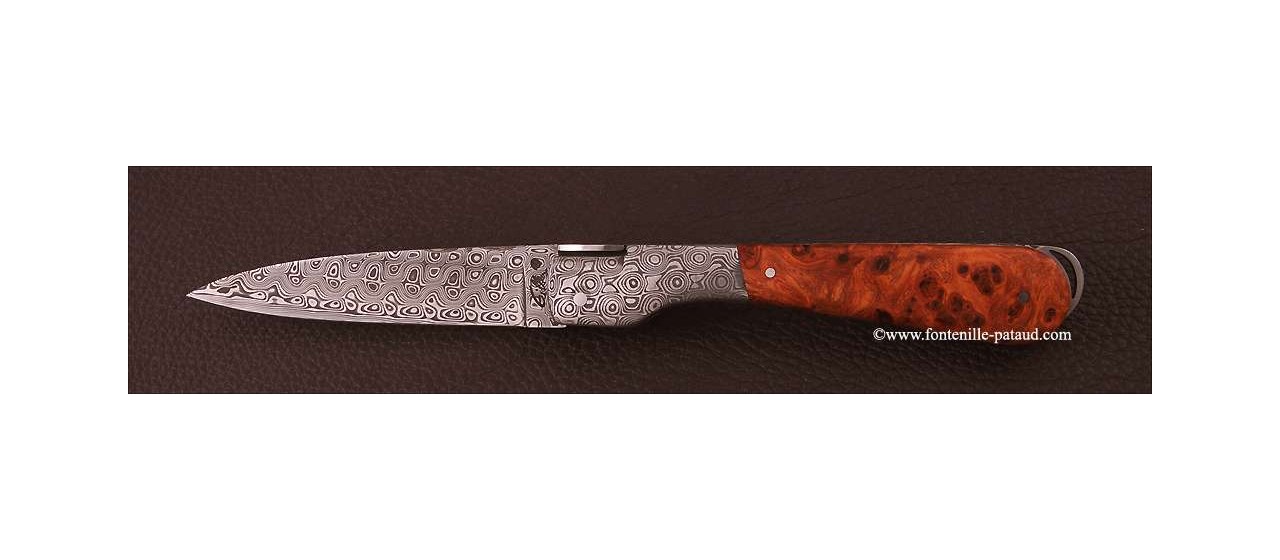 Corsican Sperone knife Damascus Range Stabilized poplar burl