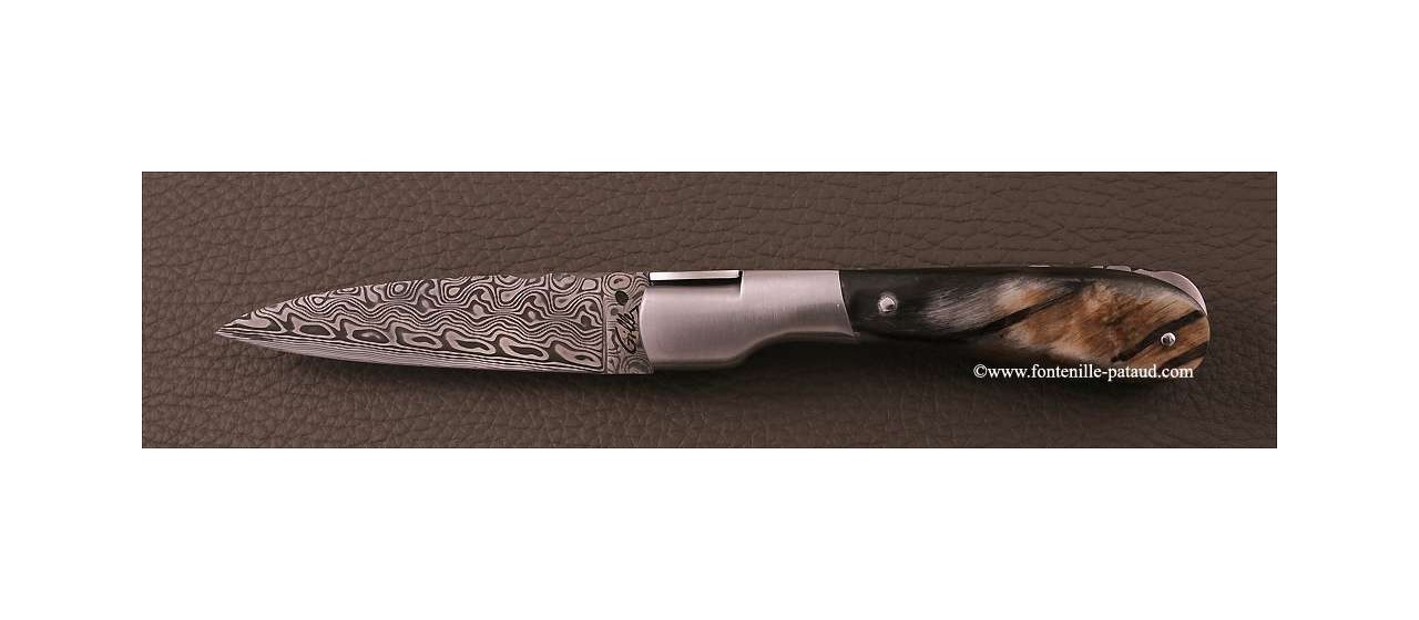 Corsican Pialincu knife Damascus range Black ram horn