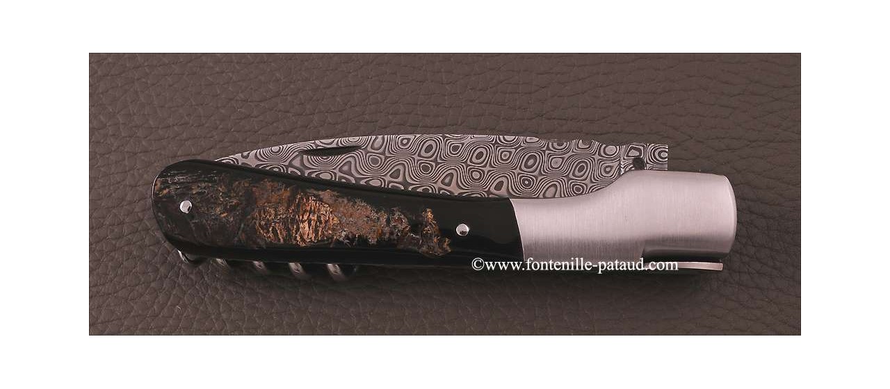 Corsican Vendetta knife Damascus Range with corkscrew Buffalo bark