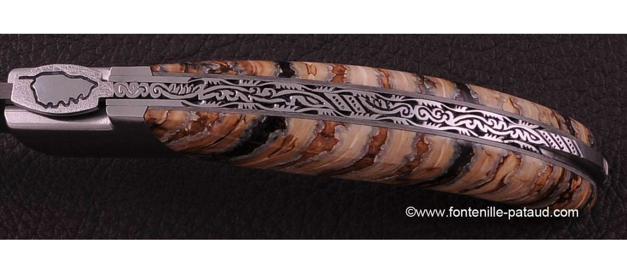 Corsican Rondinara knife damascus range molat tooth of mammoth