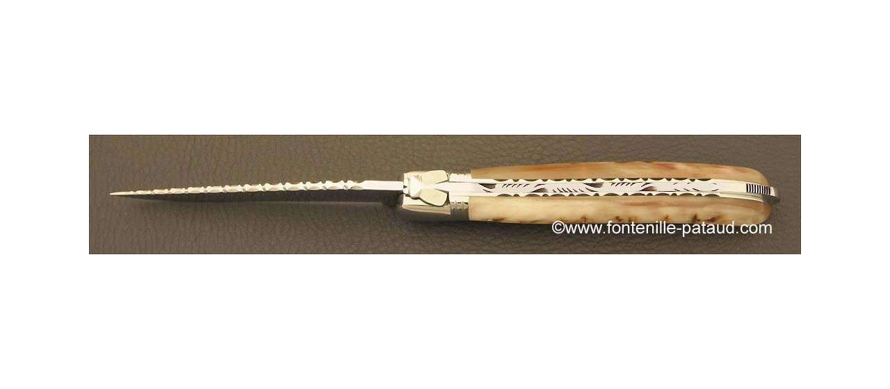 Traditionnal ram horn laguiole