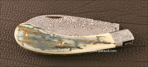 Couteau le Chamois Guillochage fin et Mammouth Bleu