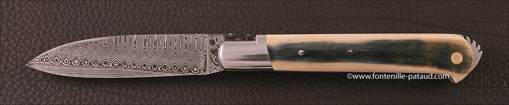 Frenchfolding knife Le 5 Coqs blue mammoth ivory and damascus blade