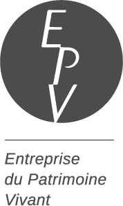 EPV Logo