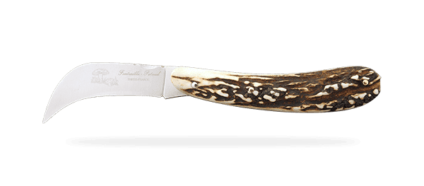 Mushroom Knife